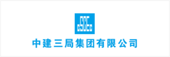 战略合作伙伴